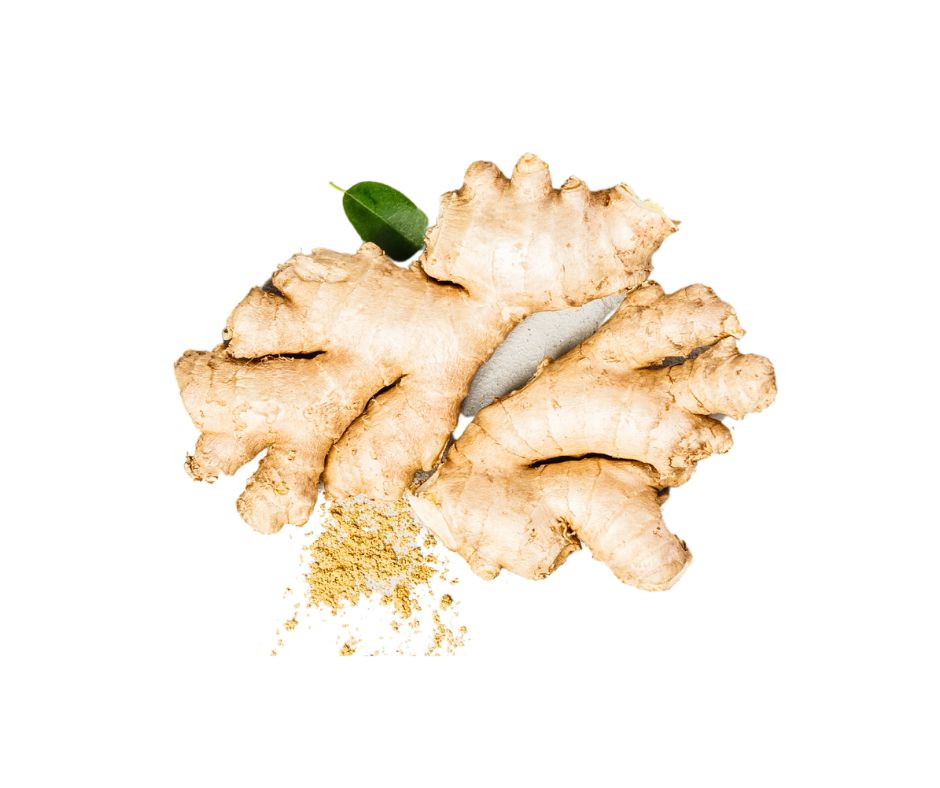 JENGIBRE FRESCO (1)